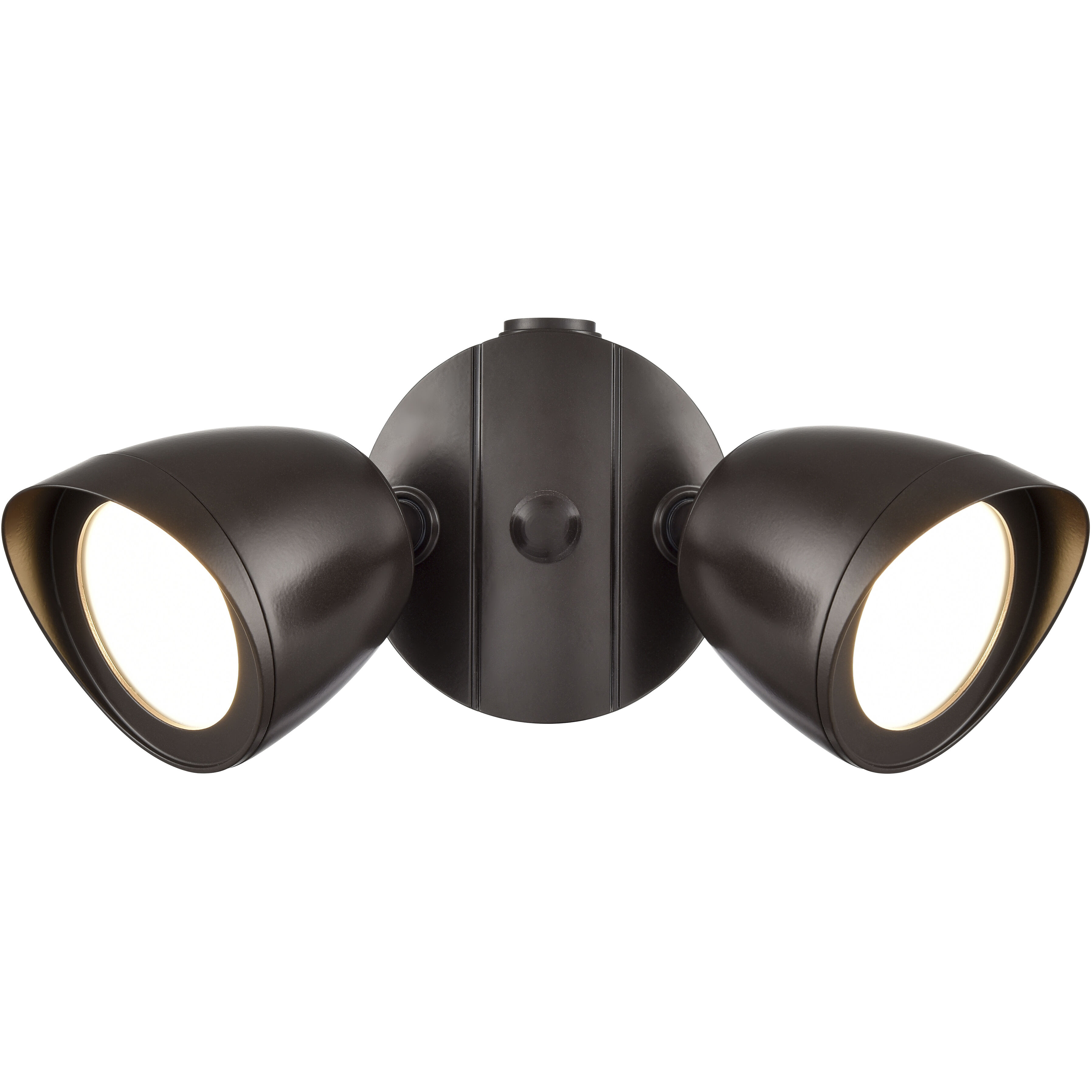 Twin Head Basic 2 Light 10.50 inch Outdoor Wall Light
